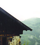 Alpine Hut