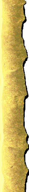 Paper's Right Side