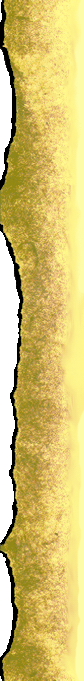 Paper's Left Side
