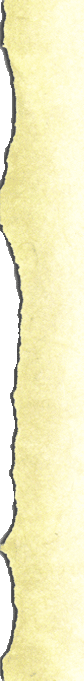 Paper's Left Side