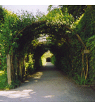 Mirabell Garden, Salzburg